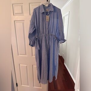 New with tags. Blue stripe dress